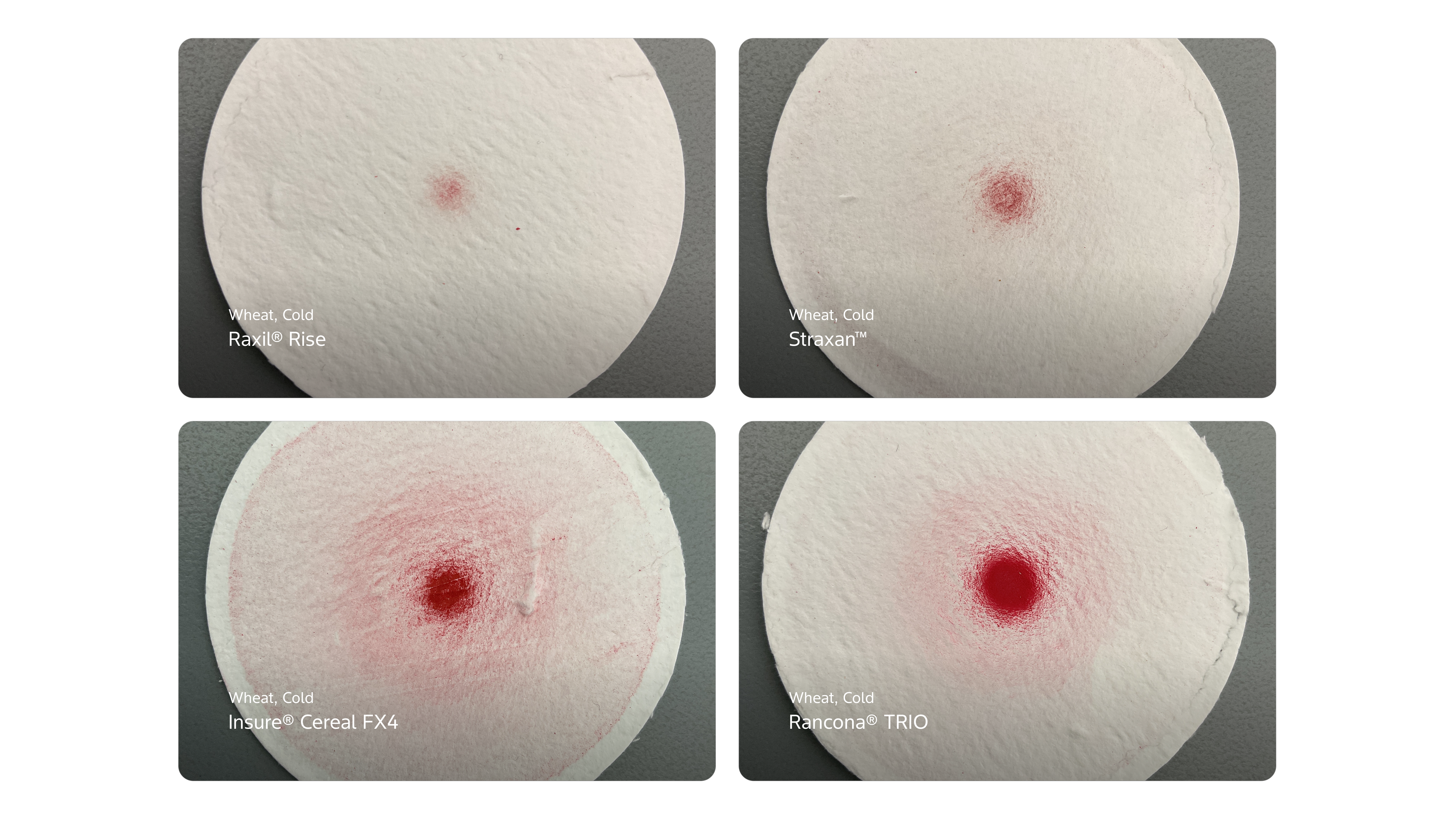 null CarouselImageSlide